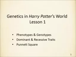 Genetics in  Harry Potter