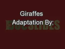 Giraffes Adaptation By:
