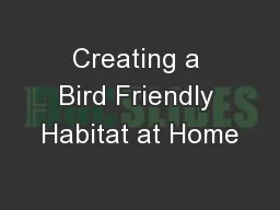 Creating a Bird Friendly Habitat at Home