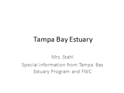 Tampa Bay Estuary Mrs. Stahl