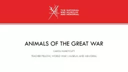 Animals of the great war