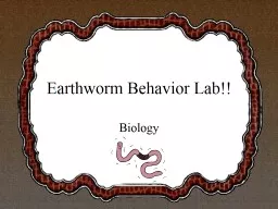 Earthworm Behavior Lab!!