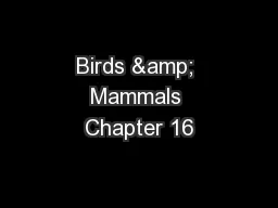Birds & Mammals Chapter 16