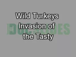 Wild Turkeys Invasion of the Tasty