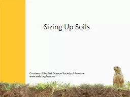 Sizing Up Soils SOIL  has different