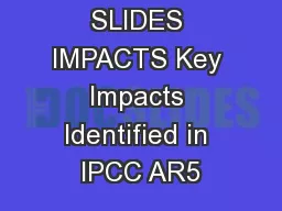 AFRICA SLIDES IMPACTS Key Impacts Identified in IPCC AR5