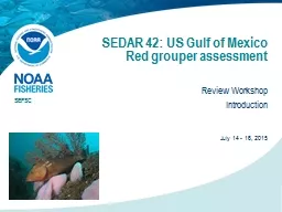 SEDAR 42: US Gulf of Mexico Red grouper assessment