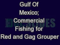 Gulf Of Mexico; Commercial Fishing for Red and Gag Grouper
