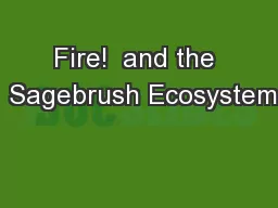 Fire!  and the  Sagebrush Ecosystem