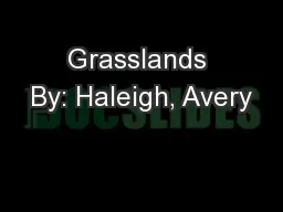 Grasslands By: Haleigh, Avery