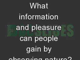 Big Question: What information and pleasure can people gain by observing nature?