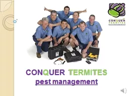 CON Q UER   TERMITES pest management