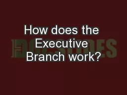 How does the Executive Branch work?
