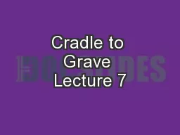 Cradle to Grave Lecture 7
