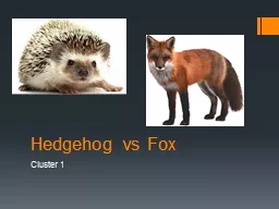 Hedgehog vs Fox Cluster 1