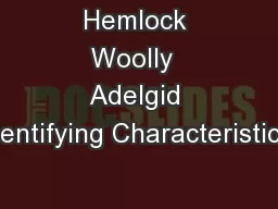 Hemlock Woolly  Adelgid Identifying Characteristics: