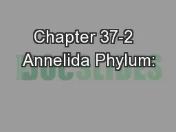 Chapter 37-2  Annelida Phylum: