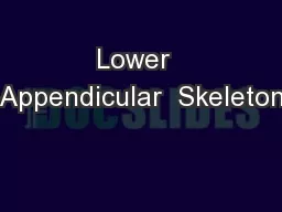 Lower  Appendicular  Skeleton