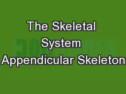 The Skeletal System Appendicular Skeleton