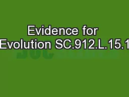 Evidence for Evolution SC.912.L.15.1