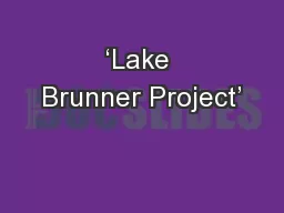 ‘Lake Brunner Project’