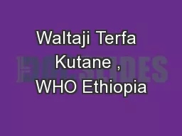 Waltaji Terfa  Kutane , WHO Ethiopia