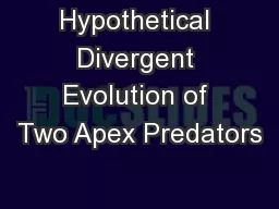 Hypothetical Divergent Evolution of Two Apex Predators