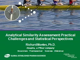 Analytical Similarity Assessment: Practical Challenges and Statistical Perspectives
