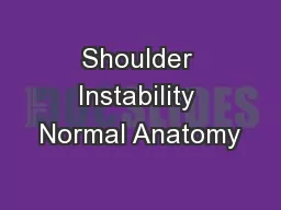 Shoulder Instability Normal Anatomy