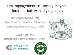 Hip Impingement in Hockey Players: focus on butterfly style goalies