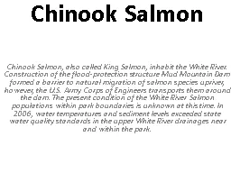 Chinook Salmon Chinook Salmon, also called King Salmon, inhabit the White River. Construction of th