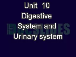Unit  10 Digestive System and Urinary system