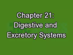 Chapter 21: Digestive and Excretory Systems