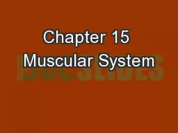 Chapter 15 Muscular System