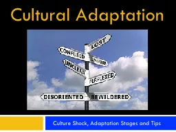 Culture Shock, Adaptation Stages and Tips