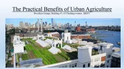 The Practical Benefits of Urban Agriculture