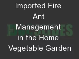 Imported Fire Ant Management in the Home Vegetable Garden