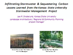 Infiltrating  Stormwater