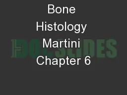 Bone Histology Martini Chapter 6