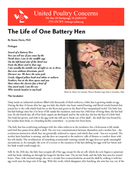 The Life of One Battery Hen By Karen Davis PhD Prologu