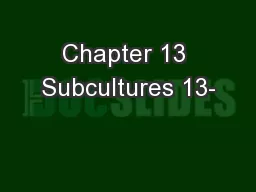 Chapter 13 Subcultures 13-
