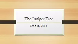 The Juniper Tree Dec 16, 2014