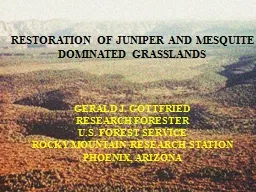 RESTORATION OF JUNIPER AND MESQUITE DOMINATED GRASSLANDS