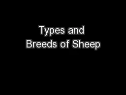 Types and Breeds of Sheep