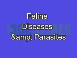 Feline Diseases & Parasites