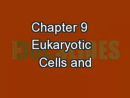 Chapter 9   Eukaryotic  Cells and
