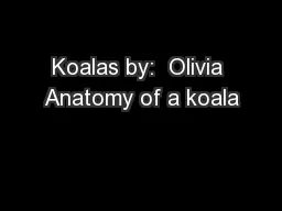 Koalas by:  Olivia Anatomy of a koala