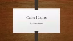 Calm Koalas  By: Kelsey Cropper