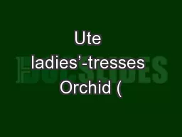 Ute ladies’-tresses Orchid (