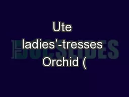 Ute ladies’-tresses Orchid (